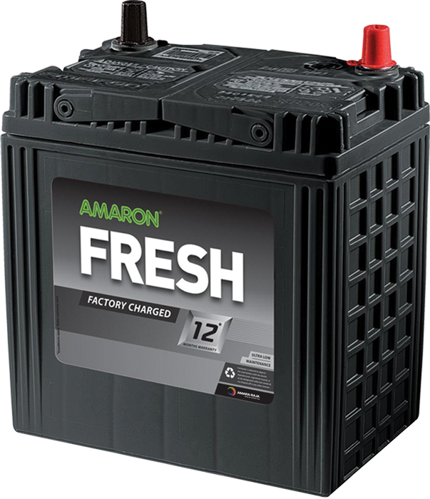 AMARON FRESH (12 MONTHS WARRANTY)